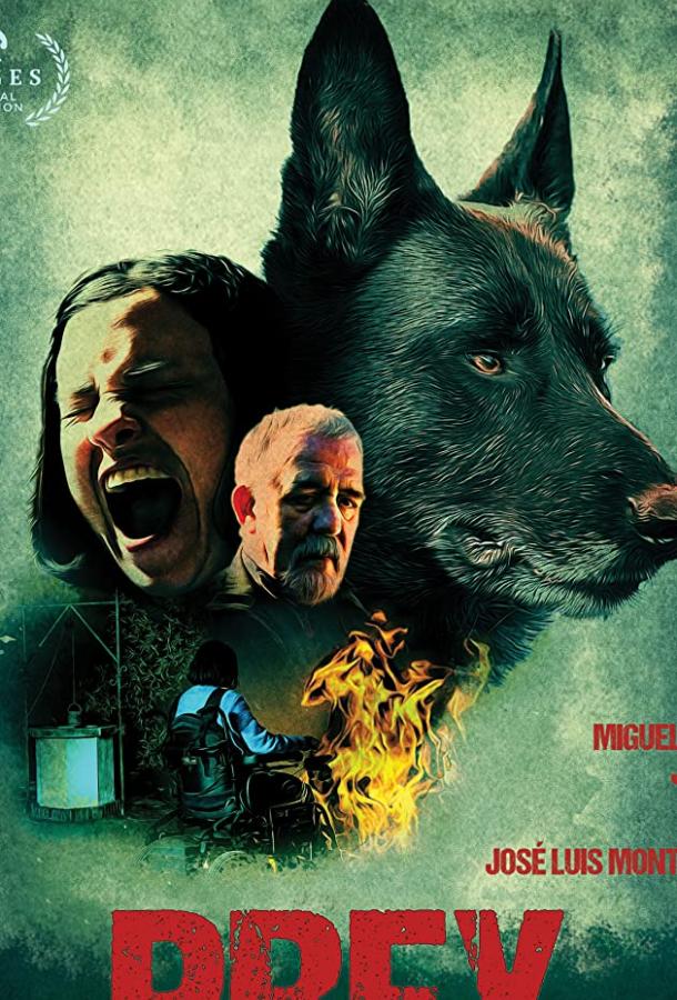 Фильм Узы (2019) смотреть онлайн в HD качестве